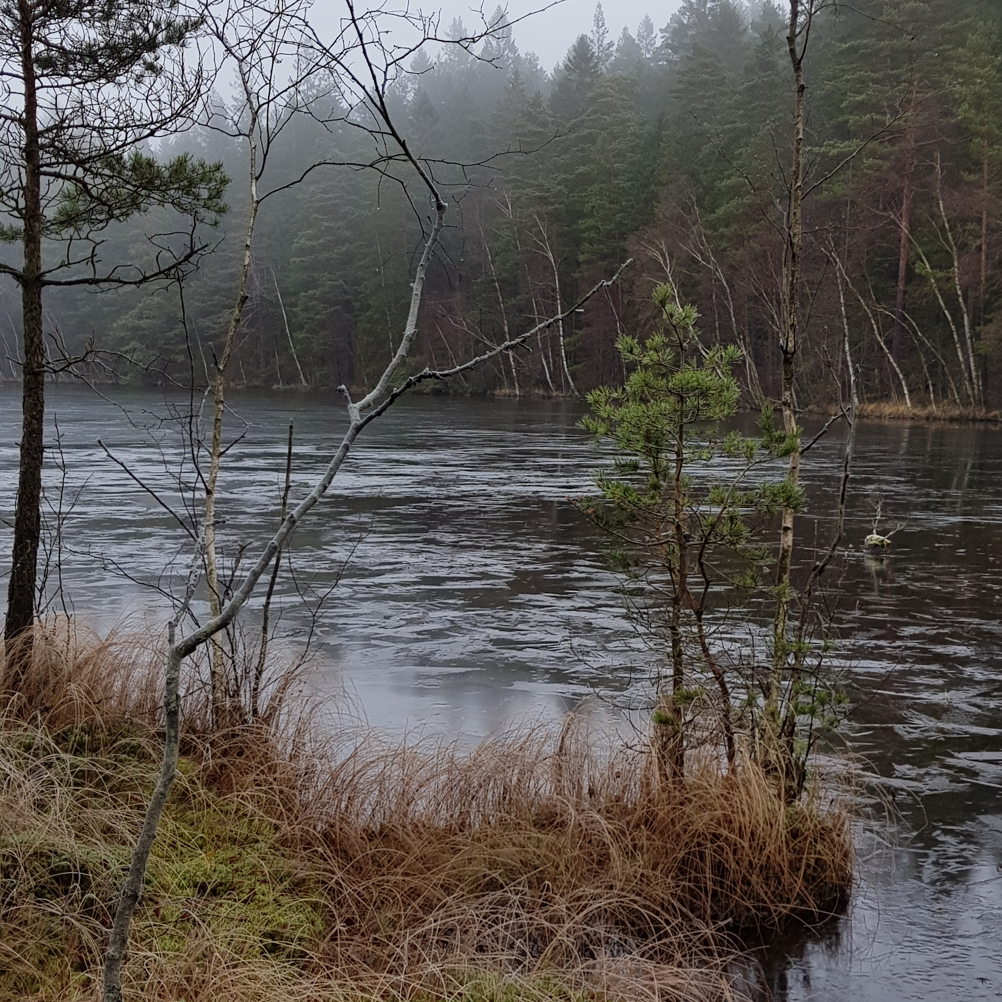 20190112_113642